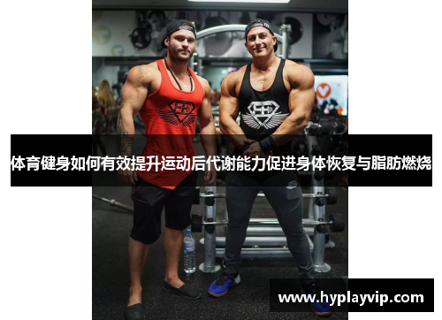 体育健身如何有效提升运动后代谢能力促进身体恢复与脂肪燃烧 体育健身如何有效提升运动后代谢能力促进身体恢复与脂肪燃烧